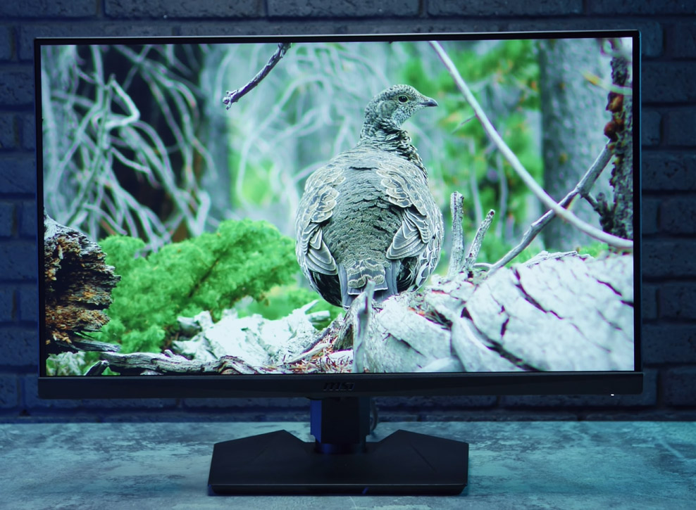 MSI Optix MAG274R2DE: Análisis del monitor 165Hz 1080p IPS 7 MSI Optix MAG274R2DE